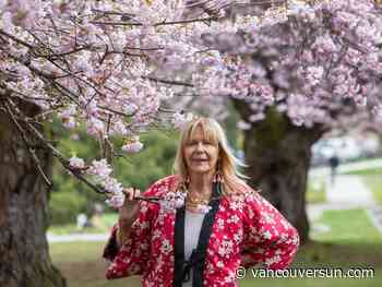 Vancouver Cherry Blossom Festival 2024 a reminder to look up, appreciate beauty