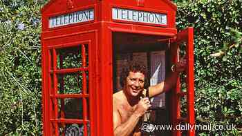 Ringing in the changes for the great British phone box: From the iconic red kiosks to the many redesigns that followed, how the payphone became part of our national identity as BT plans on giving them a 21st century makeover after years of decline