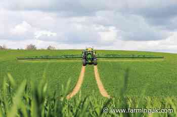 Cereals growers warned of septoria &#39;perfect storm&#39;