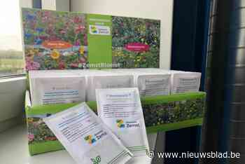 Gemeente biedt inwoners gratis bloemenzaadmengsel aan