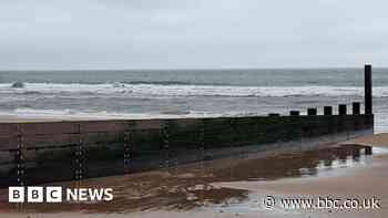 Groyne wood repurposed into sea wall protection