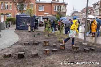 Vlaams Belang Deurne bekritiseert heraanleg kruispunt Boshovestraat-Bosschaert de Bouwellei: “Heilige groene onthardingsdrang”