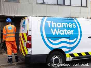 Could Thames Water be nationalised – and where did struggling company’s problems start?