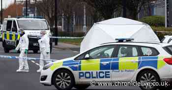 Detectives continue to quiz suspect on suspicion of murder after alleged North Shields trading estate stabbing