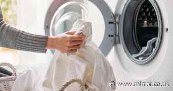 British Gas, Octopus and EDF customers told to stop using two washing machine temperatures