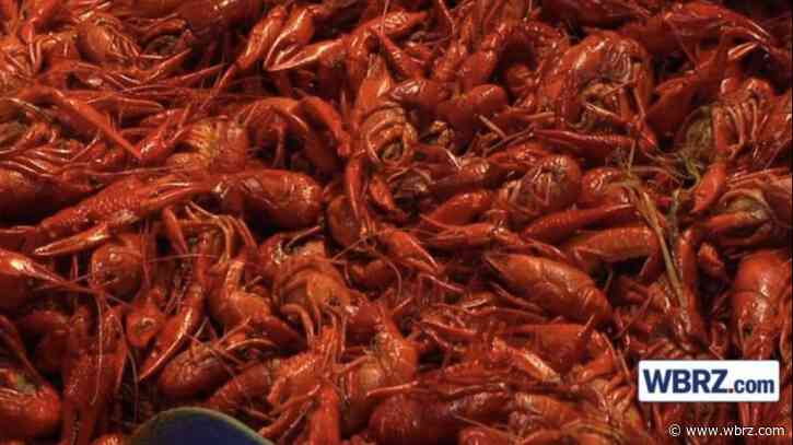 Crawfish Tracker: Prices up slightly ahead of Easter weekend