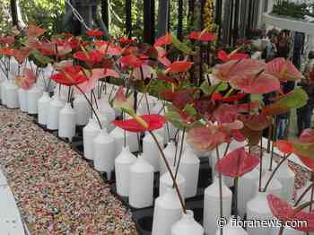 Bloemenshows in jubilerende Keukenhof hebben verrassend decor en afwisselende kalender