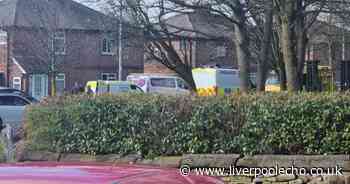 Stabbed teenager found outside house as police swarm street