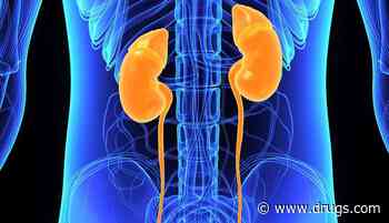 Inorganic Nitrate Treatment Cuts Rate of Contrast-Induced Nephropathy