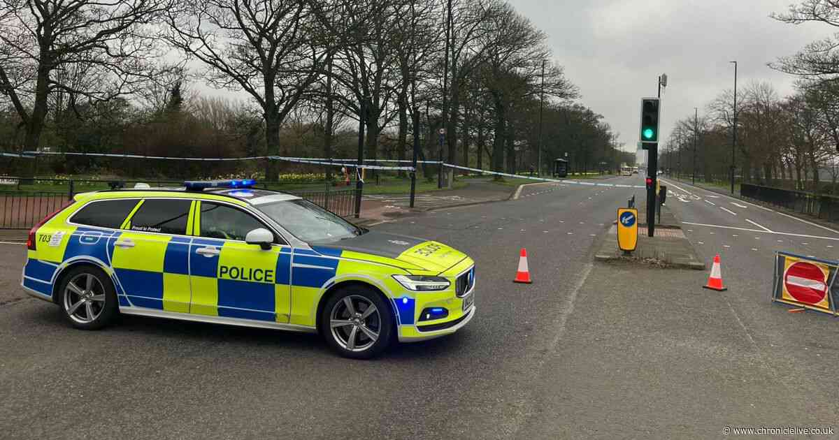 Tragedy as man dies after being hit by vehicle on Great North Road in Newcastle