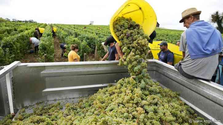 Climate change endangers 70 percent of world's wine regions: Study