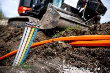 Kein Internet, kein Telefon: Bagger zerstört Leitung in Willebadessen