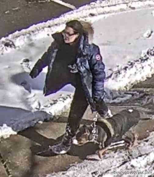 Woman charged in Toronto dog attack previously deemed ‘irresponsible’ pet owner
