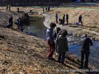 TPS students help rehab watershed
