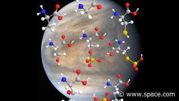 Life as we know it could exist on Venus, new experiment reveals
