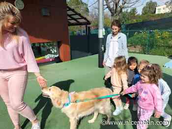 La médiation animale dans la crèche de ce village de la Côte d'Azur est un modèle