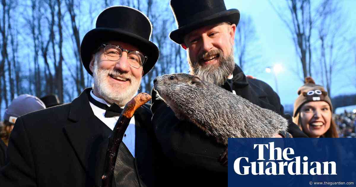 Punxsutawney Phil and partner Phyllis welcome two baby groundhogs