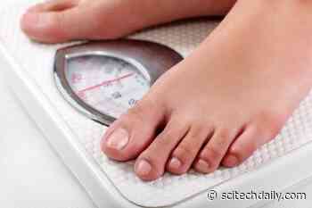 Weight Loss Unlocks Key to Better Metabolism: The Kallistatin Effect