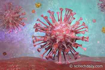 Stopping HIV in Its Tracks: New Anti-Viral Treatment Hacks the Virus’ Protective Shield