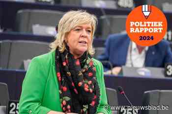 Zo bracht Hilde Vautmans het er de voorbije jaren vanaf in het Europees parlement
