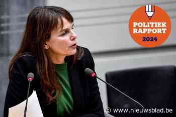 Zo bracht Tine Van den Brande het er de voorbije jaren vanaf in het Vlaams parlement
