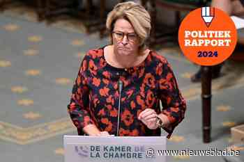 Zo bracht Kathleen Verhelst het er de voorbije jaren vanaf in het federaal parlement