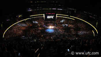 The State Of UFC During UFC 100 And 200