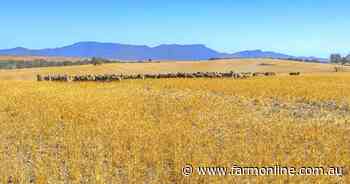 Neat cropping and grazing farm on the market near Ararat