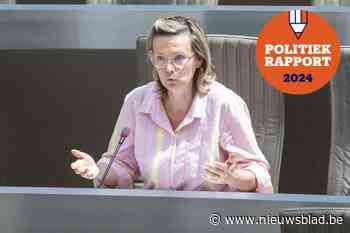 Zo bracht Katrien Partyka het er de voorbije jaren vanaf in het Vlaams parlement