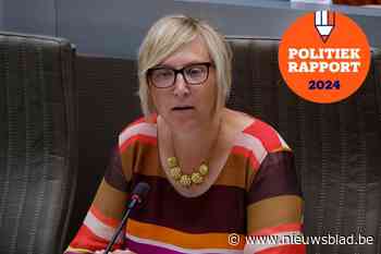 Zo bracht Tine Van der Vloet het er de voorbije jaren vanaf in het Vlaams parlement