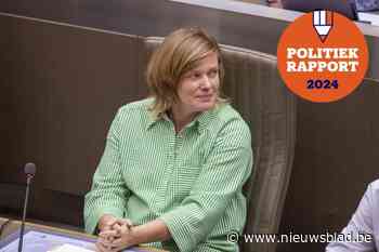 Zo bracht Tinne Rombouts het er de voorbije jaren vanaf in het Vlaams parlement
