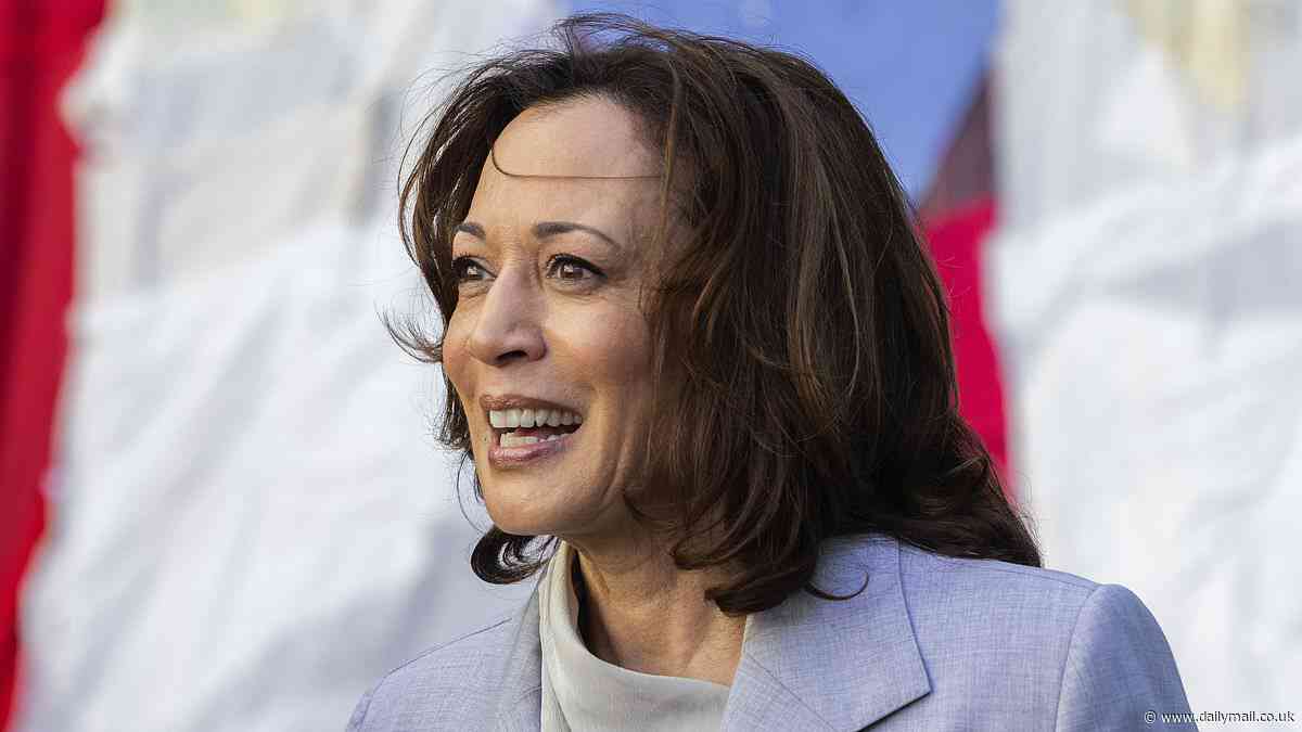 New York Times rips Kamala Harris' Puerto Rico trip as an 'epic fail': Columnist says visit where she awkwardly clapped at a protest song was 'reminiscent of the HBO show Veep'