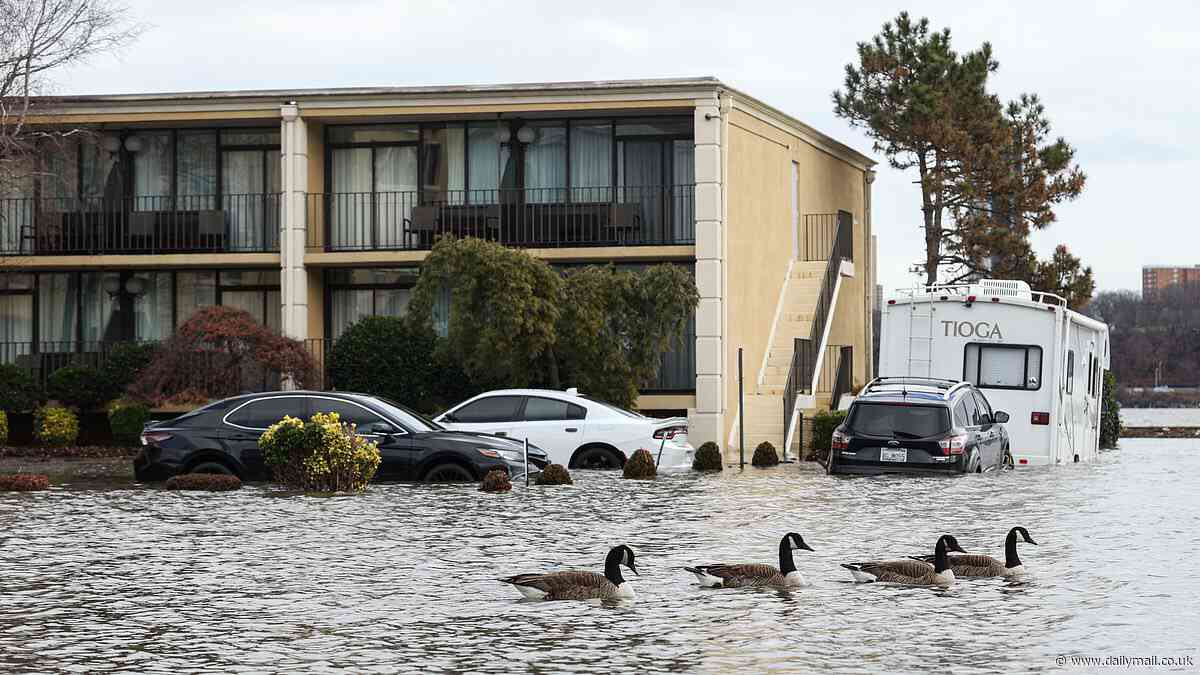 Scientists warn one in every 50 Americans in nearly 25 coastal cities at risk of excessive flooding due to sinking land and rising sea levels