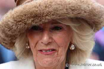 Queen Camilla ‘held her head high’ as she stepped in for King Charles during latest outing