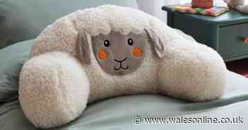 Dunelm selling 'cute and cuddly' Easter cushions that get 'lots of compliments' in 50% off sale