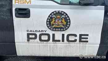 Workplace conditions at Calgary Police Service to undergo third-party audit, oversight body says