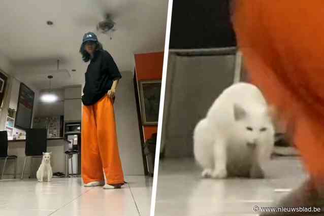 Emira (24) filmt nieuwe dansroutine, maar kat gaat met alle aandacht lopen