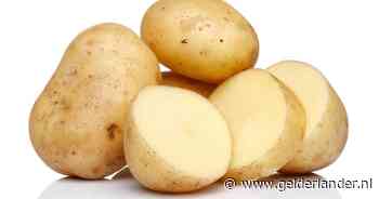 Amerikaanse senatoren op de bres voor de aardappel: wel of geen groente?