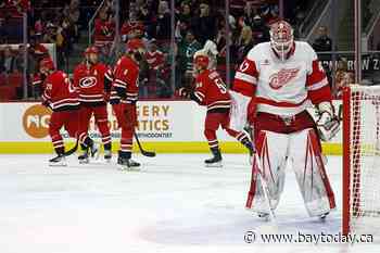 Andersen posts shutout, Hurricans clinch playoff berth with 4-0 win over Red Wings