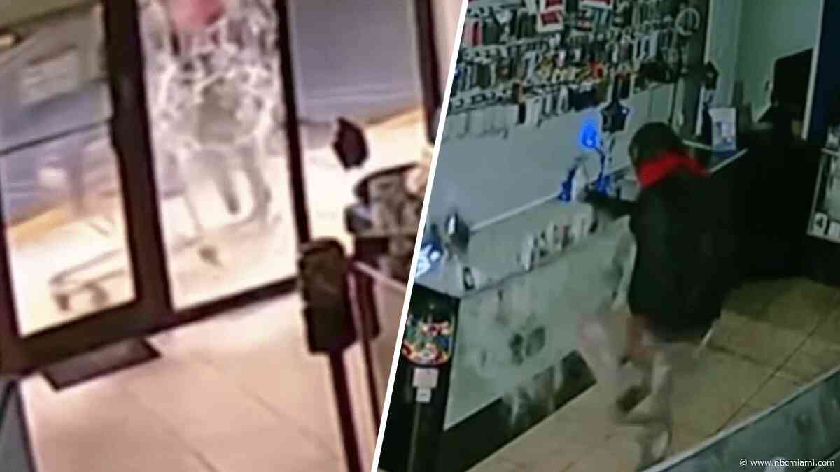 Video shows suspect using shopping cart to break into Hollywood cellphone shop