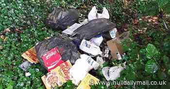 ‘Unsightly, harmful to health and damaging to the environment’ - four more Hull residents prosecuted for fly-tipping