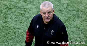 WRU boss reveals full details of Warren Gatland resignation offer as review held