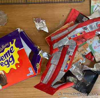 Dog owners warned about the dangers pets eating chocolate