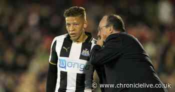 'It was carnage', Dwight Gayle on Newcastle United roller-coaster plus life under Bruce and Benitez