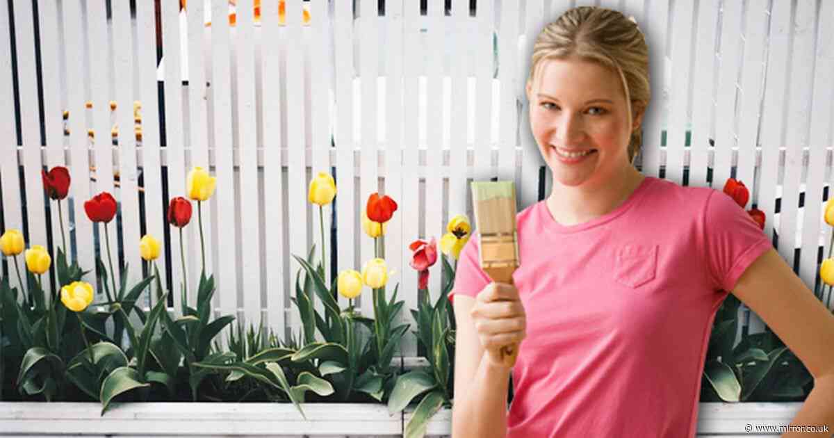 Five different fence colours that will make your garden look bigger