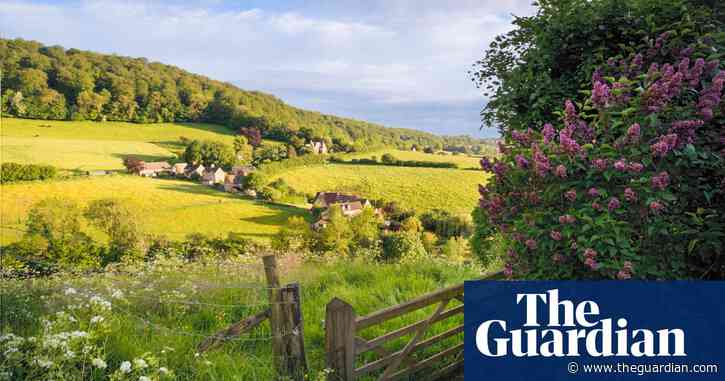 ‘I strolled among lovely Lent lilies, wild garlic and beautiful bluebells’: readers’ favourite spring walks in the UK