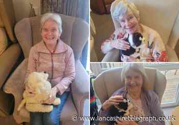 Colne care home using robot pets for dementia residents