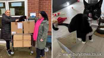 Spritzer the cat helps deliver Easter eggs at Bury hospital again