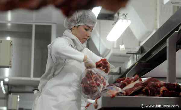 Carne vacuna de exportación: ¿por qué es necesario diversificar los mercados?