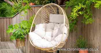 Dunelm shoppers say 'beautiful' £199 hanging egg chair is 'purchase of the year'